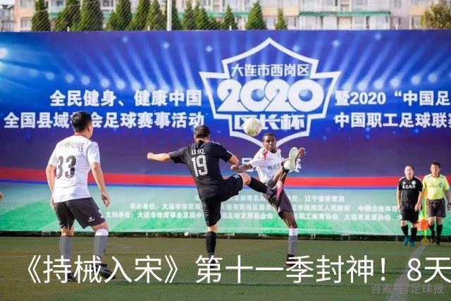 《持械入宋》第十一季封神！8天破城歼敌1.3万，林昭威震西北