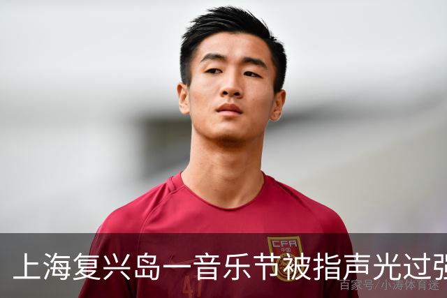 上海复兴岛一音乐节被指声光过强，有市民称“以为地震了”，当地：仅一天，发过提示
