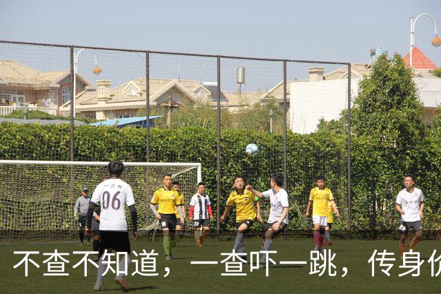 不查不知道，一查吓一跳，传身价44亿的张柏芝，私下生活壕到离谱