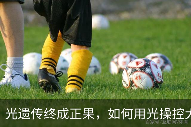 光遗传终成正果，如何用光操控大脑？