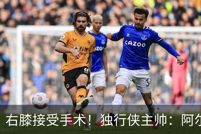 右膝接受手术！独行侠主帅：阿尔达马还有伤病反复的问题