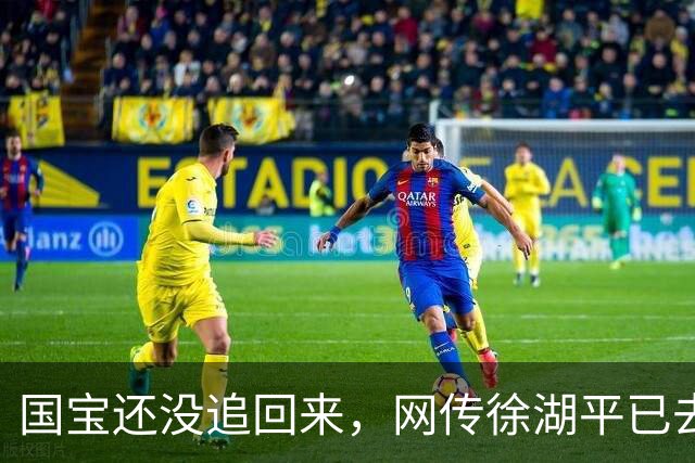 国宝还没追回来，网传徐湖平已去世：值！坐牢一个月，豪赚8800万