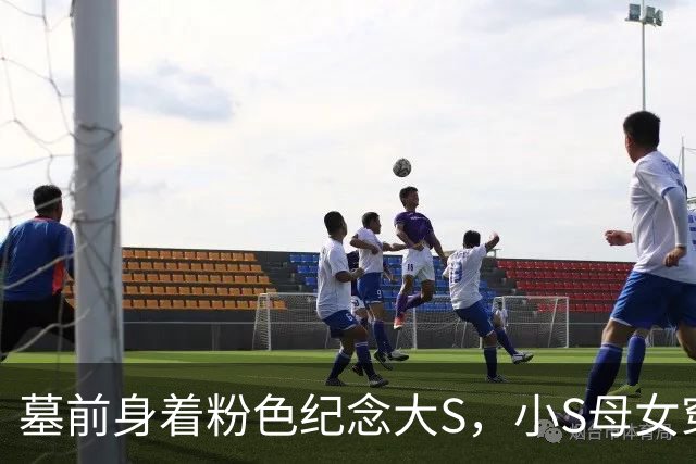 墓前身着粉色纪念大S，小S母女穿搭引网友两极评价