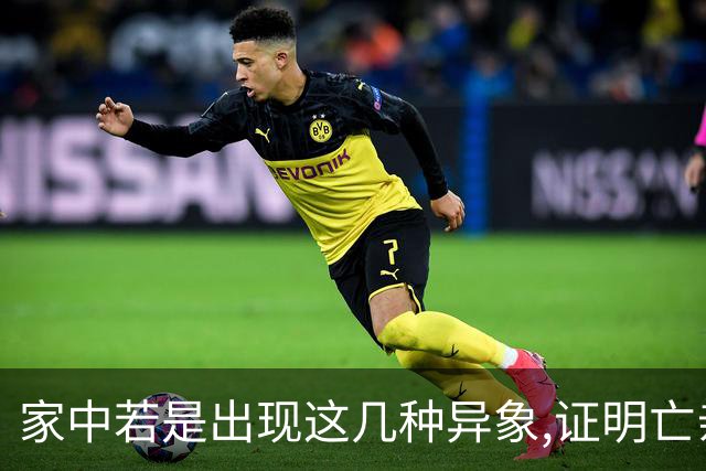 家中若是出现这几种异象,证明亡亲已经成功投胎,无需再去专程祭拜