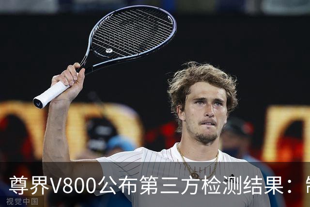 尊界V800公布第三方检测结果：制动踏板未出现损坏