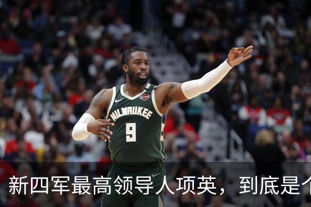 新四军最高领导人项英，到底是个什么样的人？
