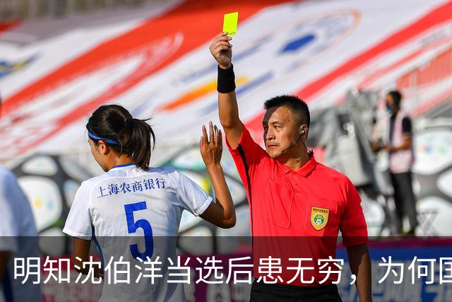 明知沈伯洋当选后患无穷，为何国民党对大陆立案侦查一事刻意沉默