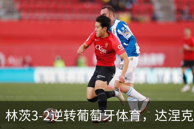 林茨3-2逆转葡萄牙体育，达涅克、卡莱季奇破门