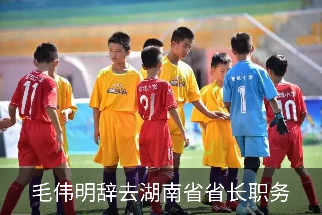 毛伟明辞去湖南省省长职务