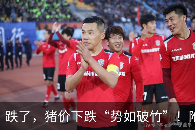 跌了，猪价下跌“势如破竹”！附：10月15日猪价