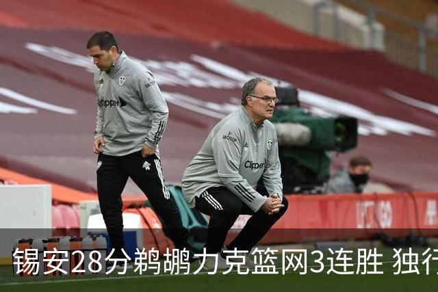锡安28分鹈鹕力克篮网3连胜 独行侠险胜马刺