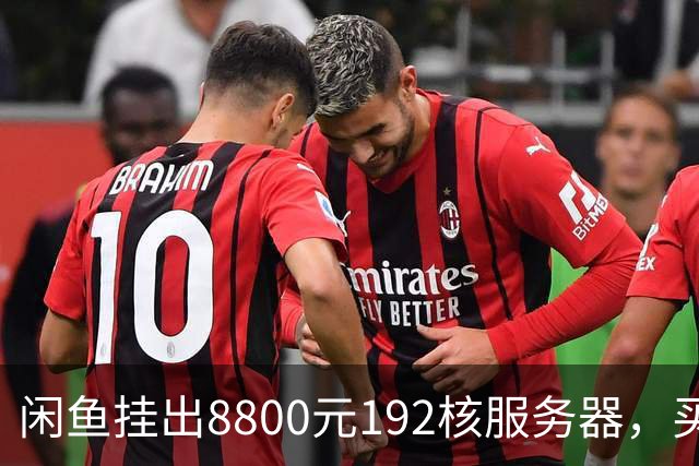 闲鱼挂出8800元192核服务器，买家兴奋下单后发现内存要再花五千