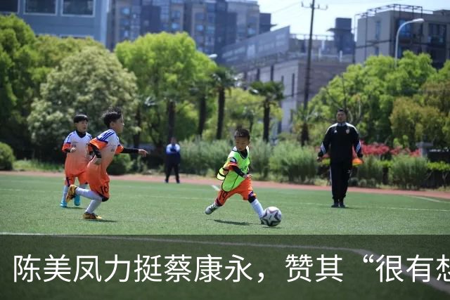 陈美凤力挺蔡康永，赞其“很有想法”，自称一直在湾湾，不怕抵制