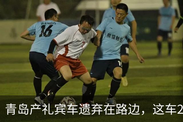 青岛产礼宾车遗弃在路边，这车25万，像劳斯莱斯，新娘都认不出来