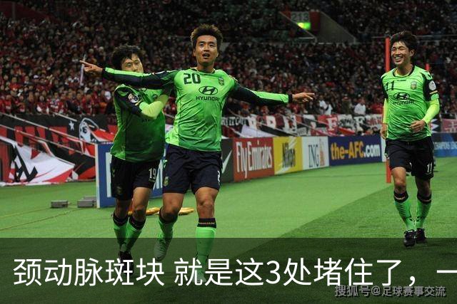 颈动脉斑块 就是这3处堵住了，一旦疏通头晕失眠乏力改善是很快的