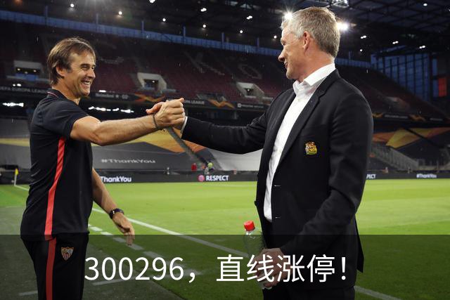 300296，直线涨停！