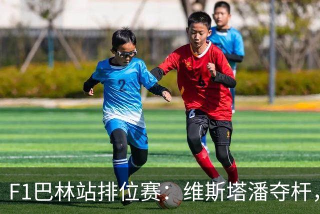 F1巴林站排位赛：维斯塔潘夺杆，汉密尔顿、哈贾尔分列二三