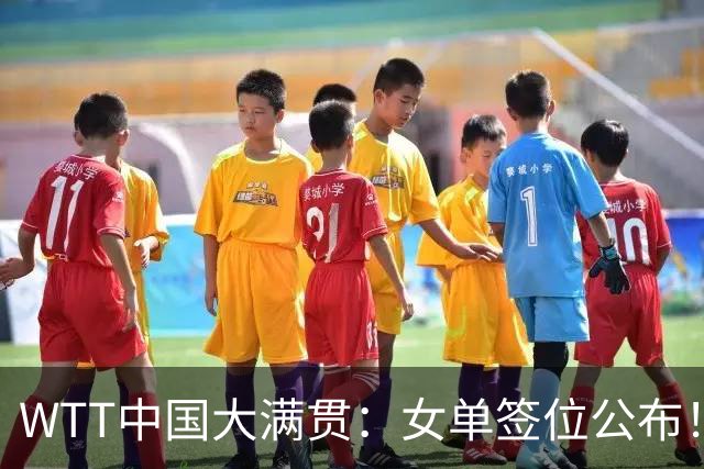 WTT中国大满贯：女单签位公布！王曼昱、张本美和同区，孙颖莎或战桥本帆乃香